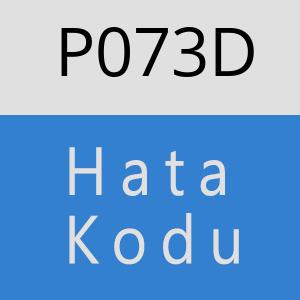 P073D hatasi