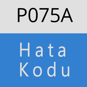 P075A hatasi