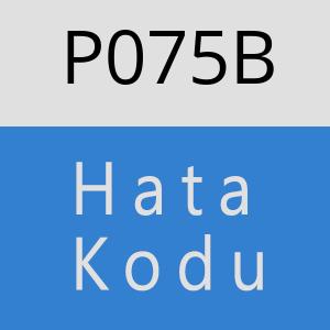 P075B hatasi