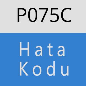 P075C hatasi