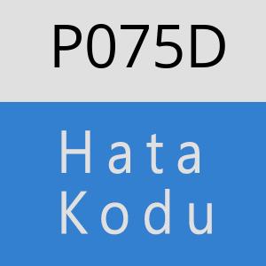 P075D hatasi