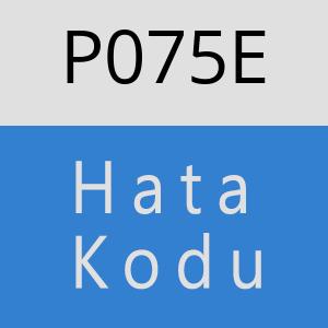 P075E hatasi