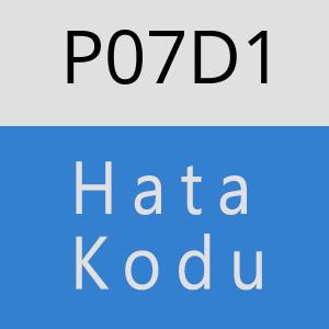 P07D1 hatasi