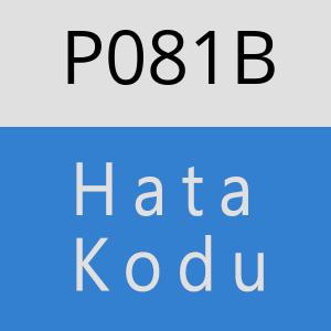 P081B hatasi