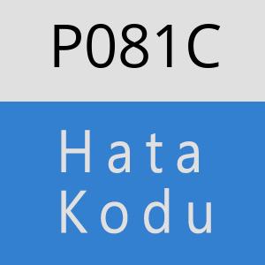 P081C hatasi