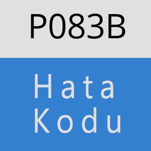 P083B hatasi