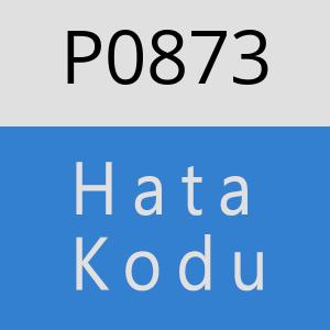 P0873 hatasi