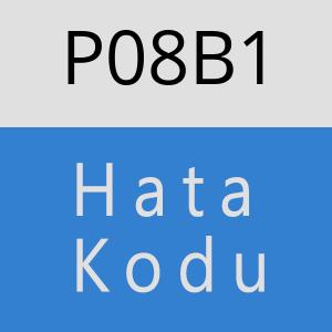 P08B1 hatasi