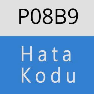 P08B9 hatasi