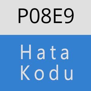 P08E9 hatasi