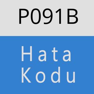 P091B hatasi