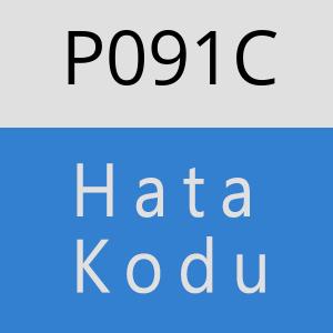 P091C hatasi