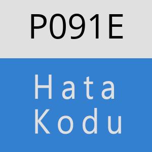 P091E hatasi