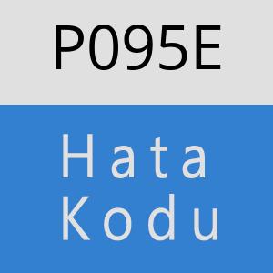 P095E hatasi