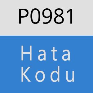 P0981 hatasi