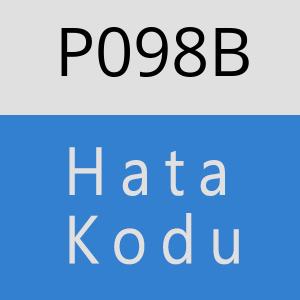 P098B hatasi