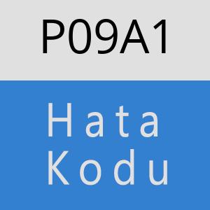 P09A1 hatasi