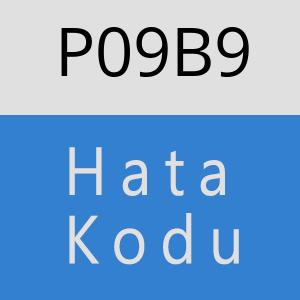 P09B9 hatasi