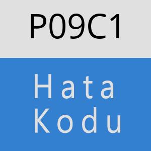 P09C1 hatasi