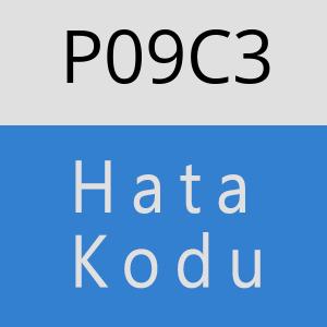 P09C3 hatasi