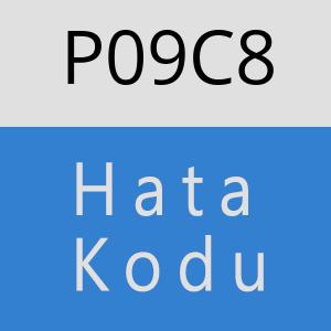 P09C8 hatasi