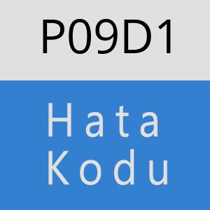 P09D1 hatasi