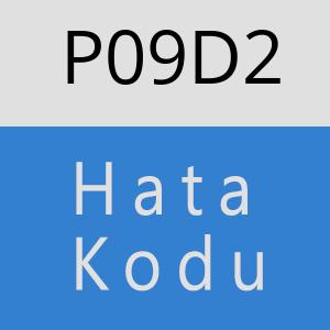 P09D2 hatasi