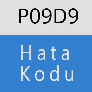 P09D9 hatasi