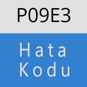 P09E3 hatasi