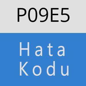 P09E5 hatasi