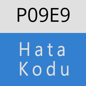 P09E9 hatasi