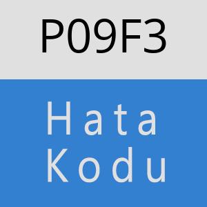 P09F3 hatasi