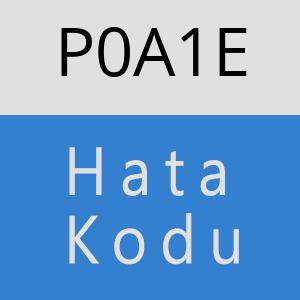 P0A1E hatasi