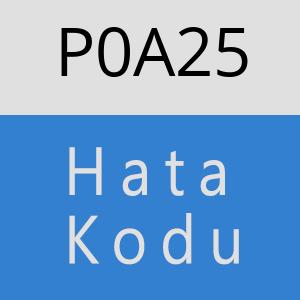 P0A25 hatasi