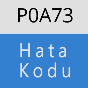 P0A73 hatasi