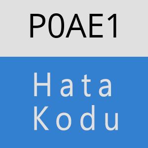 P0AE1 hatasi