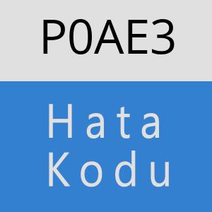 P0AE3 hatasi