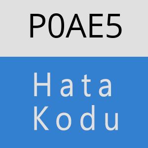 P0AE5 hatasi