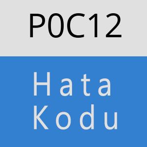 P0C12 hatasi