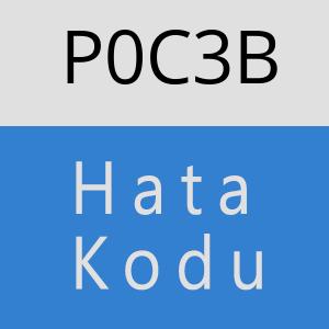 P0C3B hatasi