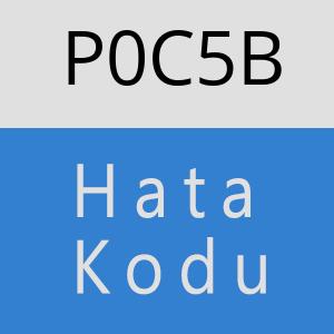 P0C5B hatasi