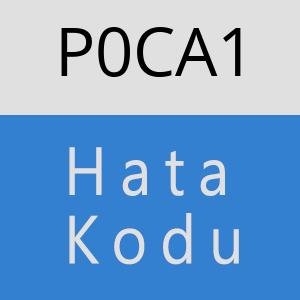 P0CA1 hatasi