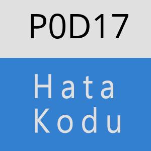 P0D17 hatasi