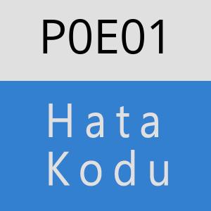 P0E01 hatasi