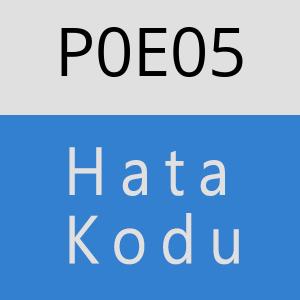 P0E05 hatasi