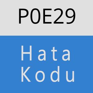 P0E29 hatasi