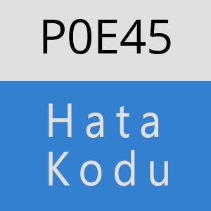 P0E45 hatasi