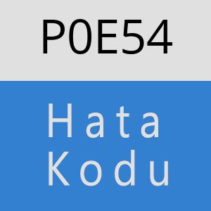 P0E54 hatasi