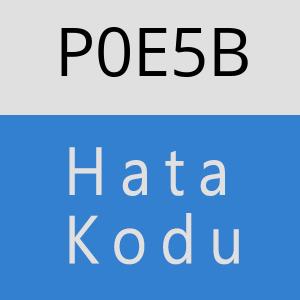 P0E5B hatasi