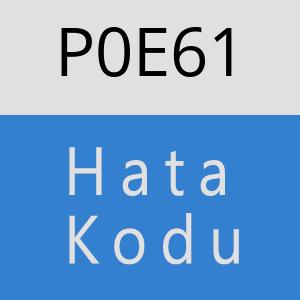 P0E61 hatasi